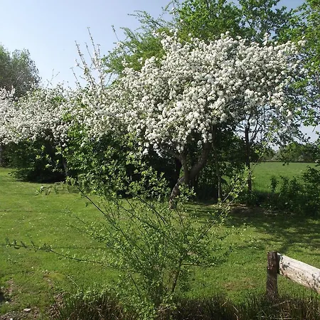 Chez Christy - Voussac